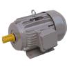 Y2 Series Cast Iron Three-Phase Motor