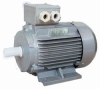 Y2 series induction motor