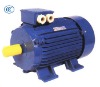 Y2 series three phase induction motor,induction motor,electric motor