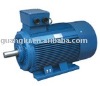 Y3 Series Motor