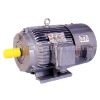 YBP three-phase induction motor with frequency converter velocity modulation