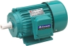Y Electric Motor