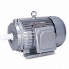 Y Motors
