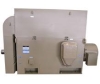 Y Series High-voltage Squirrel-cage Motor (6000V, 10000V)
