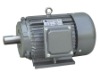 Y Series Three-Phase Induction Motor