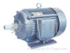 Y,Y2 SERIES Three phase electric motor