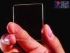 Z-cut PPKTP wafer