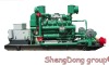 (mash gas) Coal Mine Methane Fuelled Generator (500KW/625KVA)