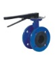 casting iron valve