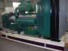 diesel generator set(Domestic brand)