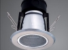 direct-plug down light