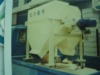 dry type permanent magnetism separators