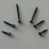 drywall screws