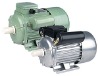 electric motor ,  YC motor