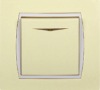 electric switch