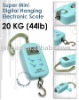 electronic portable scale