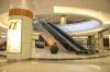 escalator