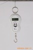 fishing scale