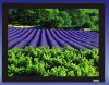 fixed frame screen