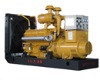gas/nature gas generator set