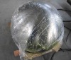 head plate