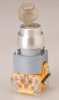 key lock switch(selector switch, switch)