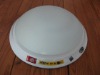 motion sensor ceiling light