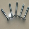 mushroom head square neck bolts