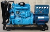 open type Water-cooled diesel generator set