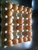 paper egg tray