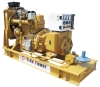 patco gas generator