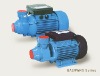 peripheral pump/water pump/electric pump