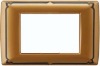 plastic plate