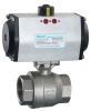 pneumatic actuator with ball valve