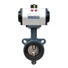 pneumatic actuators valve