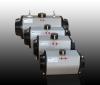 pneumatic rack and pinion actuators