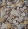 porcelain polished tiles  YF102  (300*300)
