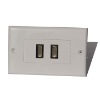 2 HDMI wall plate