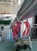 35kV Triple-layer Co-extrusion CCV line&CCVL
