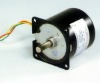 60YNT-FR motor
