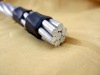 AAAC(All Aluminum Alloy Conductor)