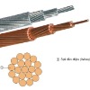AAC / ACSR cable