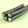 Aerial Bounded Cable