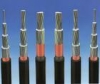 Aerial Insulated cables with rated voltage 1kv