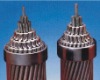 Aluminium Stranded Conductors