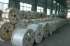Aluminum Conductor, Steel Reinforced/ ACSR