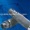 Aluminum Stranded Wire  ASW/ACSR/AAAC