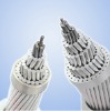 Aluminum conductor steel wire reinforced (ACSR)
