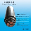 Amoured cable