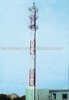 Assembling Section Microwave Tower